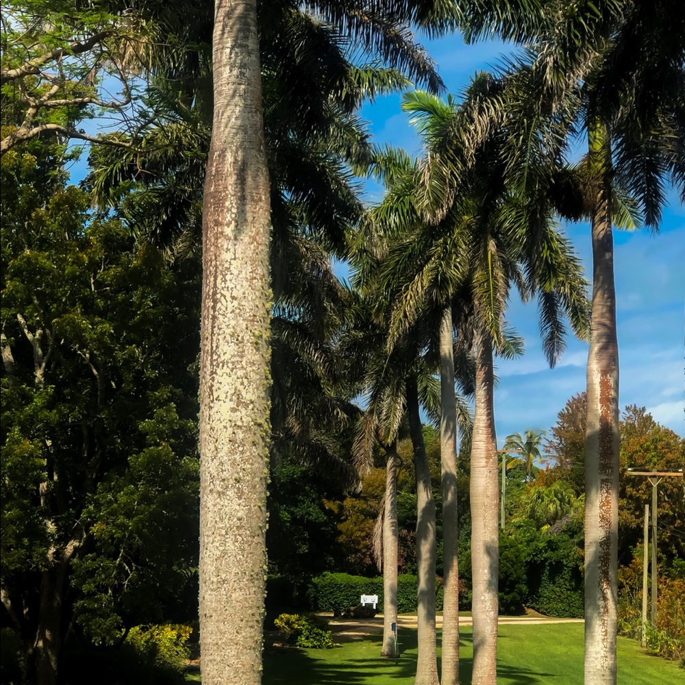 Meet your Posher, Ali